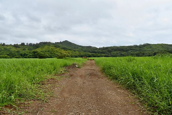 th He'eia Kalo Farm    477