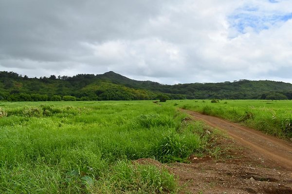 th He&apos;eia Kalo Farm    452