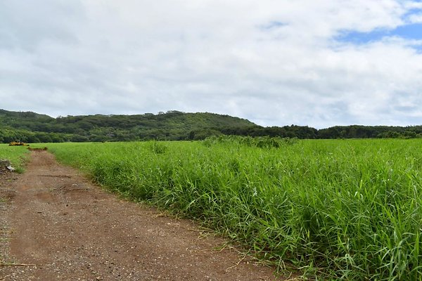 th He'eia Kalo Farm    478