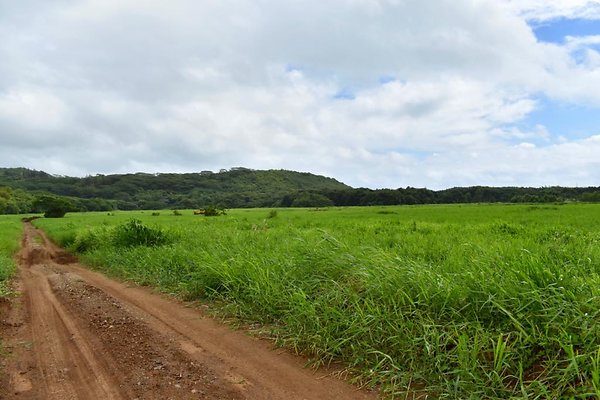 th He&apos;eia Kalo Farm    461