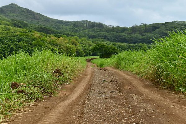 th He&apos;eia Kalo Farm    455