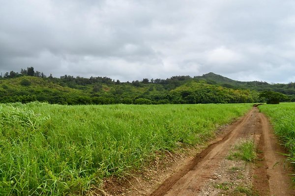 th He&apos;eia Kalo Farm    462