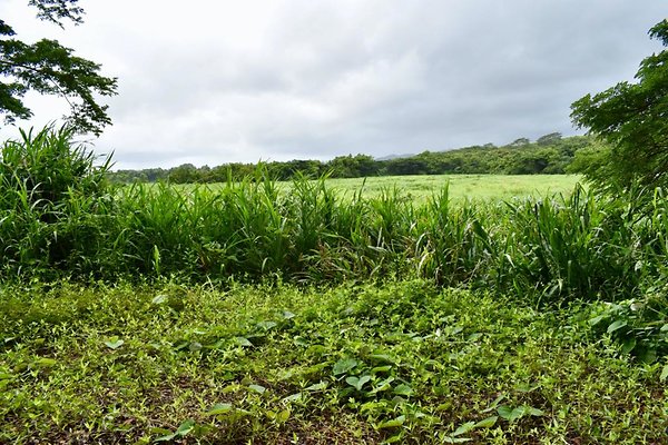 th He'eia Kalo Farm    518