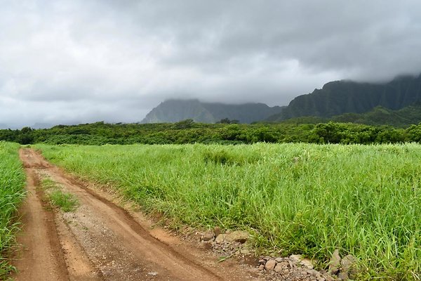 th He&apos;eia Kalo Farm    467