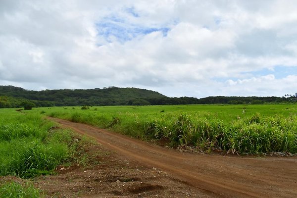 th He&apos;eia Kalo Farm    453