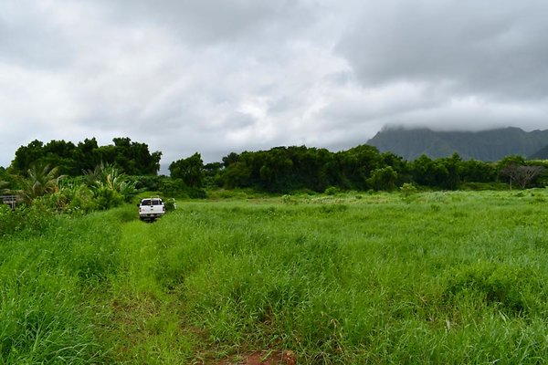 th He'eia Kalo Farm    493