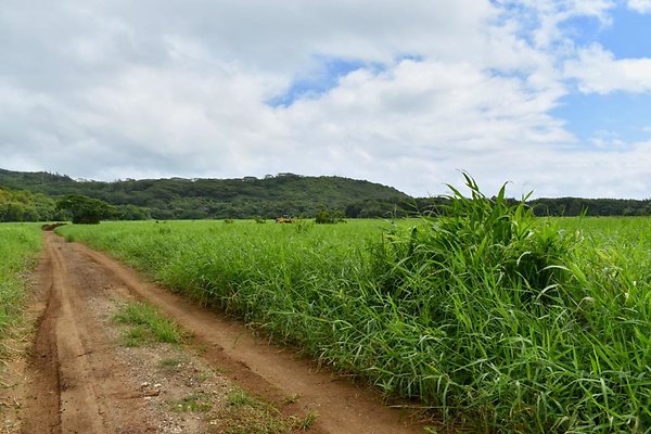 th He&apos;eia Kalo Farm    464