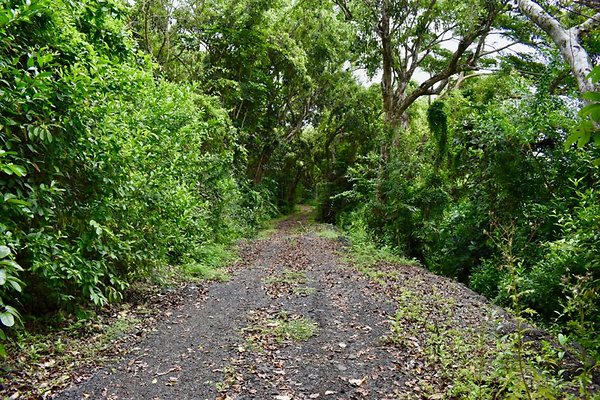 th He'eia Kalo Farm    512