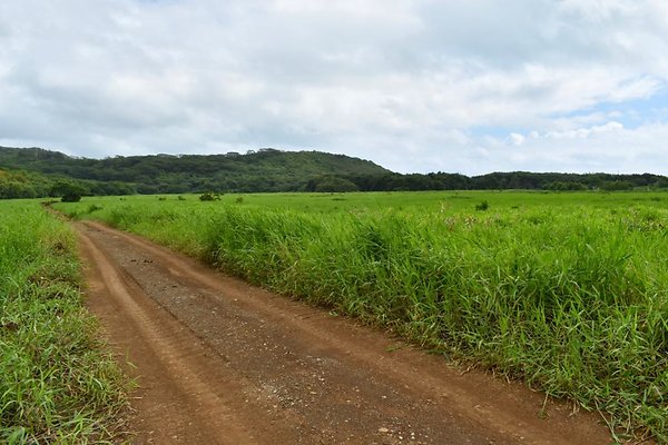 th He&apos;eia Kalo Farm    457