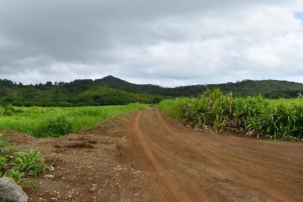 th He&apos;eia Kalo Farm    450
