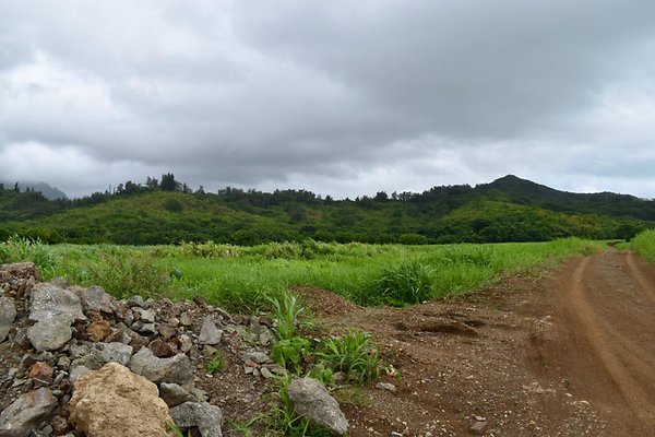 th He&apos;eia Kalo Farm    448