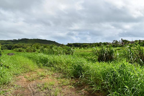 th He'eia Kalo Farm    489