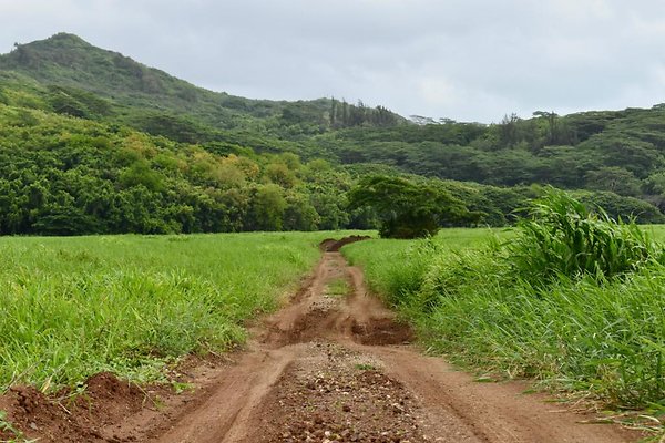 th He&apos;eia Kalo Farm    460