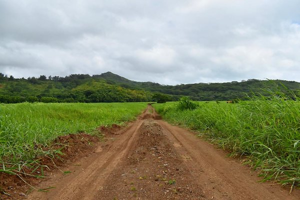th He&apos;eia Kalo Farm    459