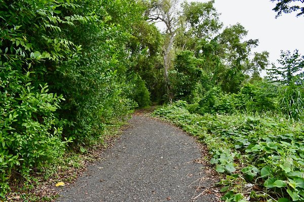 th He'eia Kalo Farm    510