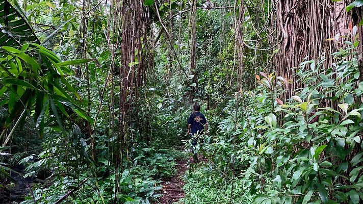 th 2019-10-11 17-16-30-1000