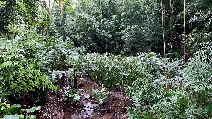 th 2019-10-11 17-10-47-1000