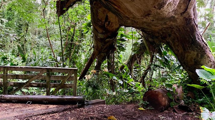 th 2019-10-11 17-04-51-1000