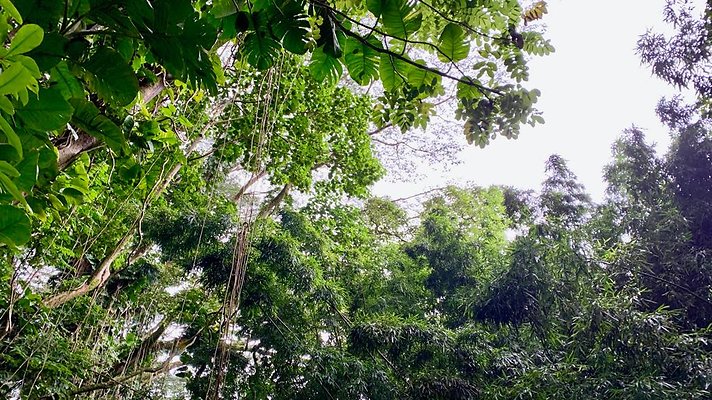 th 2019-10-11 17-18-15-1000