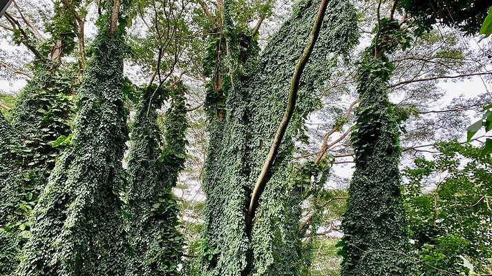 th 2019-10-11 16-55-44-1000