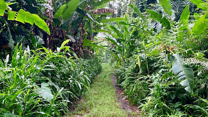 th 2019-10-11 16-57-46-1000