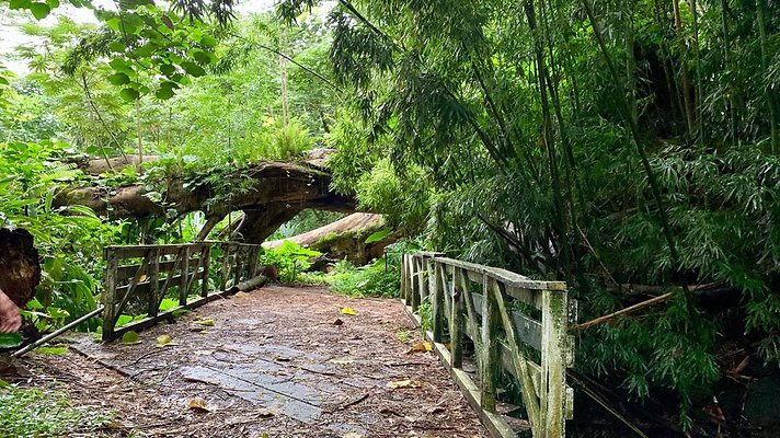 th 2019-10-11 17-05-52-1000