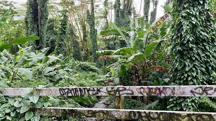 th 2019-10-11 17-00-05-1000