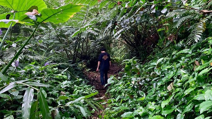 th 2019-10-11 17-15-50-1000