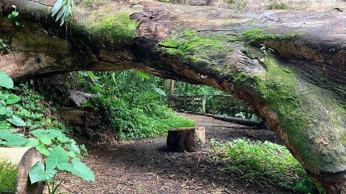 th 2019-10-11 17-04-24-1000