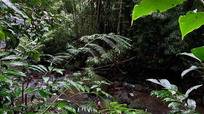 th 2019-10-11 17-17-12-1000