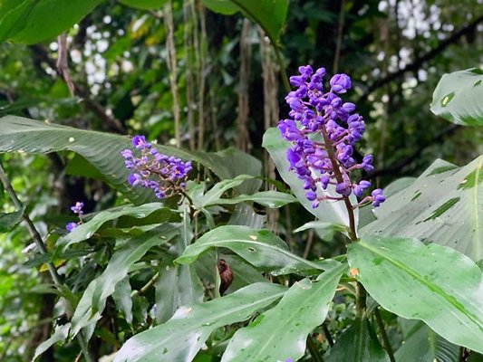 th 2019-10-11 17-13-54-1000