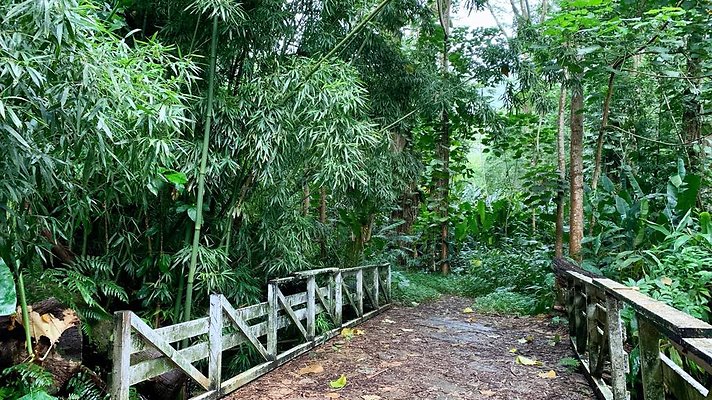 th 2019-10-11 17-06-37-1000