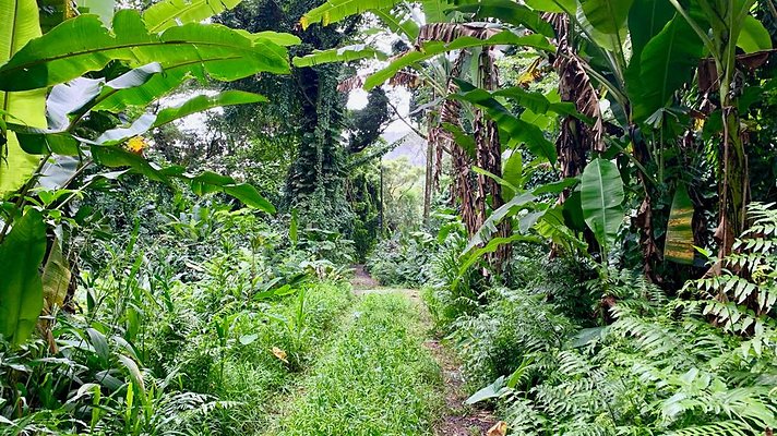 th 2019-10-11 16-58-11-1000