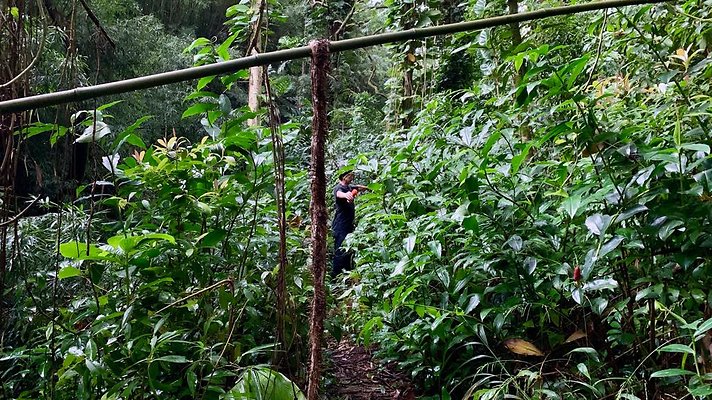 th 2019-10-11 17-17-47-1000