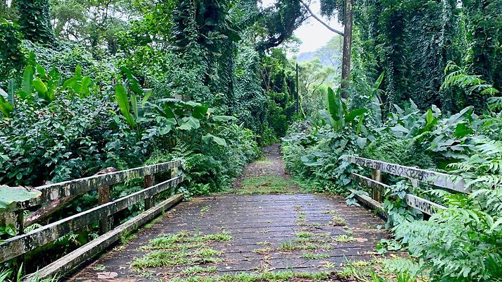 th 2019-10-11 16-58-38-1000