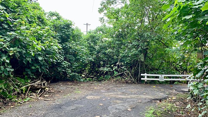 th 2019-10-11 16-52-51-1000