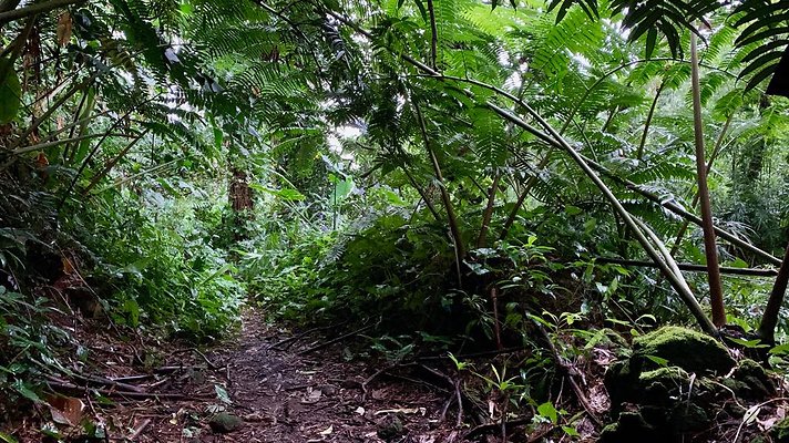 th 2019-10-11 17-16-19-1000