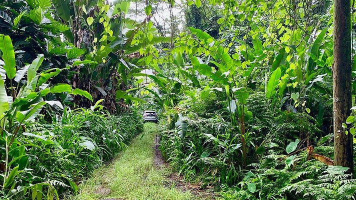 th 2019-10-11 17-08-04-1000