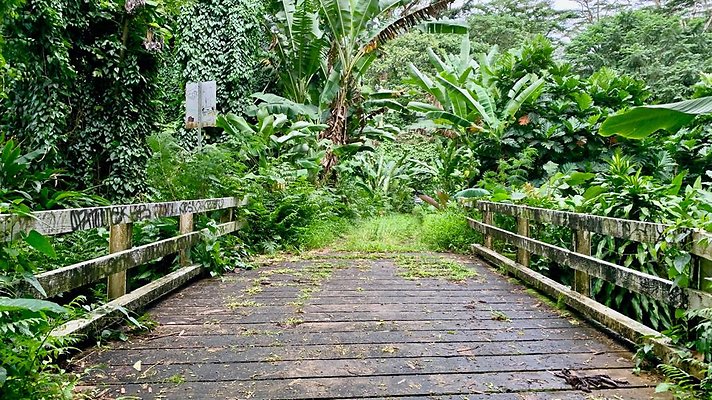 th 2019-10-11 16-59-04-1000