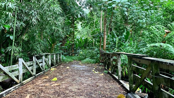 th 2019-10-11 17-05-08-1000