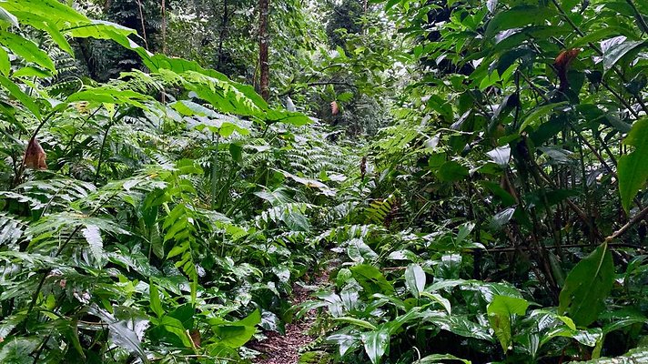 th 2019-10-11 17-11-59-1000