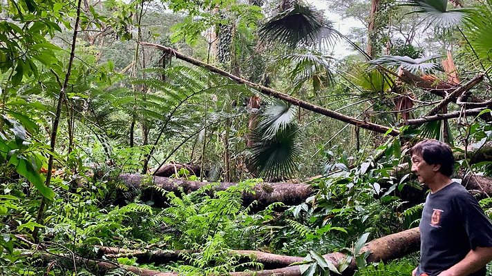 th 2019-10-11 17-20-53-1000