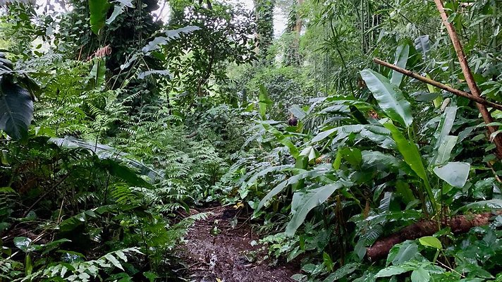 th 2019-10-11 17-09-47-1000