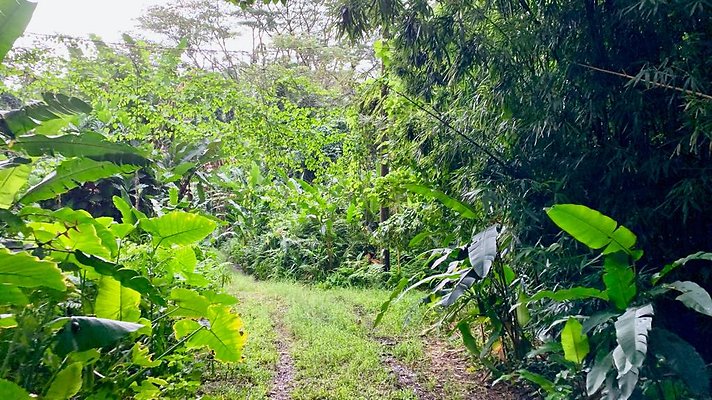 th 2019-10-11 17-07-52-1000