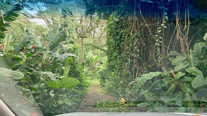 th 2019-10-11 16-54-41-1000