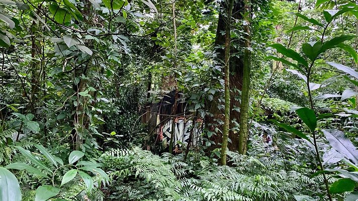 th 2019-10-11 17-11-41-1000