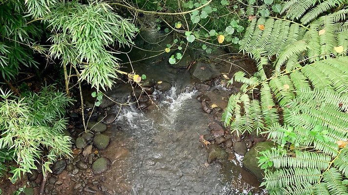 th 2019-10-11 16-52-08-1000