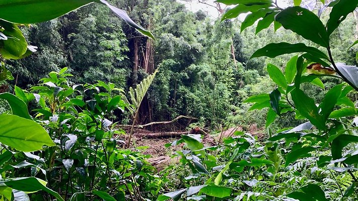 th 2019-10-11 17-19-51-1000