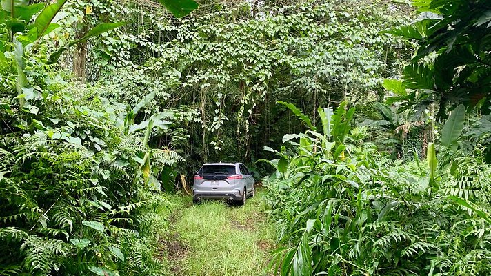 th 2019-10-11 17-00-32-1000