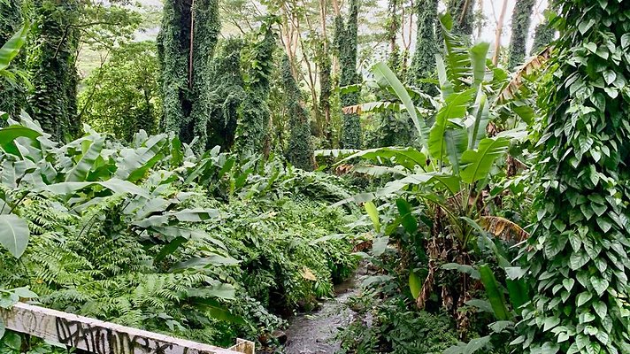 th 2019-10-11 17-00-09-1000